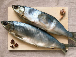 Кальмар щупальца (мелкие) холодного копчения: Сиг вяленый