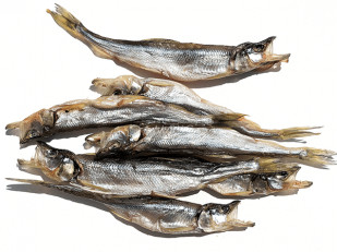 Ряпушка вяленая: Корюшка (мелкая) вяленая (Камчатка)